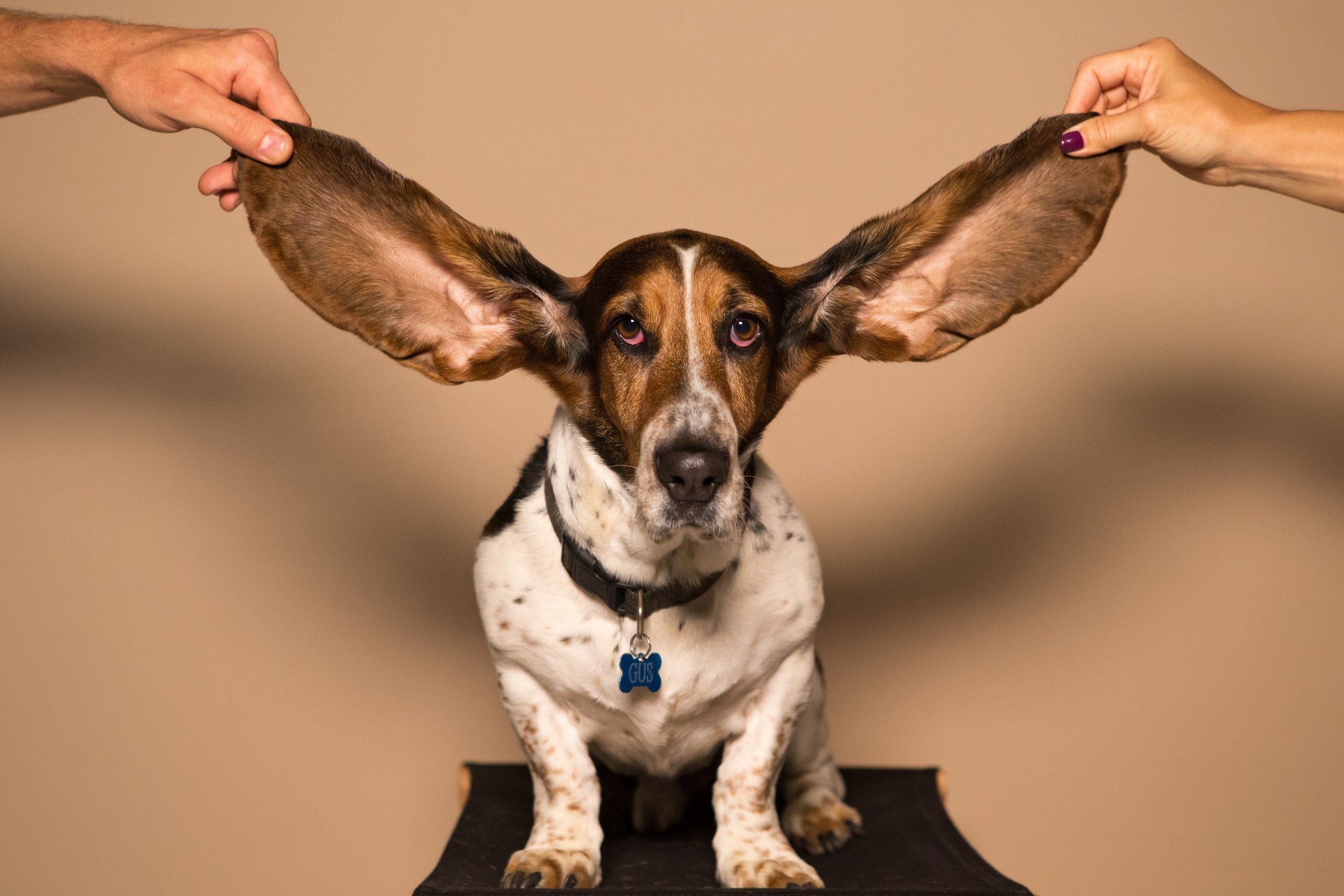 Calming Upset People Fast with EAR - High Conflict Institute